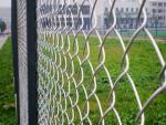 Diamond Hot Dipped Galvanized Chain Link Fence 5 Ft