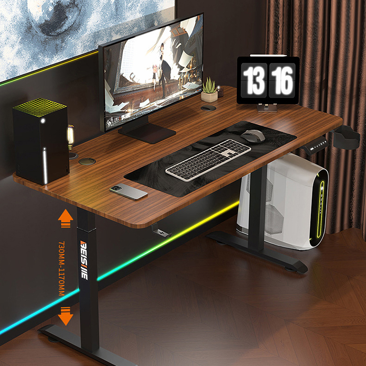Electric Sit Standing Desk with Double Motors and Custom Mechanical Height Adjustment