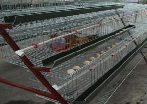 China Space Saving Broiler Poultry Farming Equipment Chicken Egg Farm Equipment wholesale