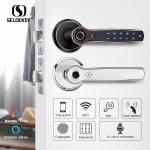 Keyless Apartment WIFI Bluetooth IP55 Fingerprint Smart Locks