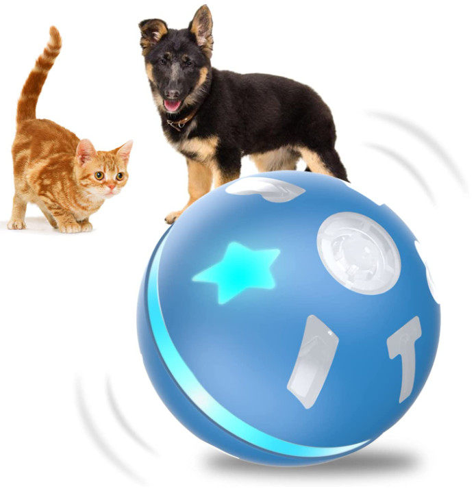 self moving dog ball
