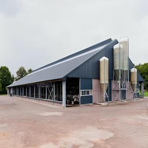 China Light Steel Cow Farm Shed Prefab Livestock Farm Building wholesale