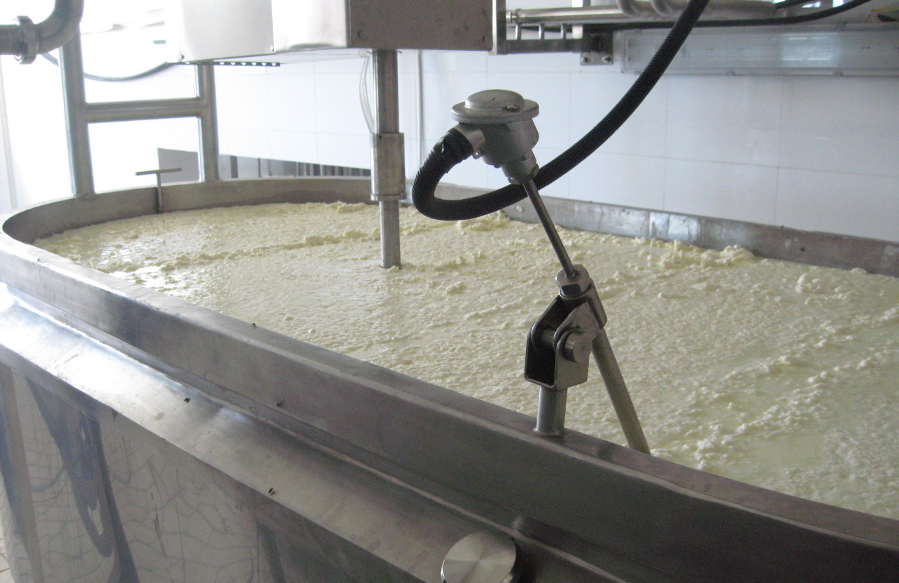Pasteurized US316 500L Dairy Cheese Making Equipment