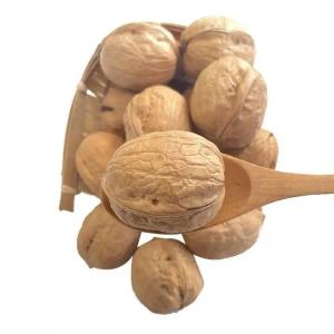 China Fresh Raw Xinjiang 185 Walnut Light Amber Color In Shell Wholesale Price For Sale Amazon’s best-selling products wholesale
