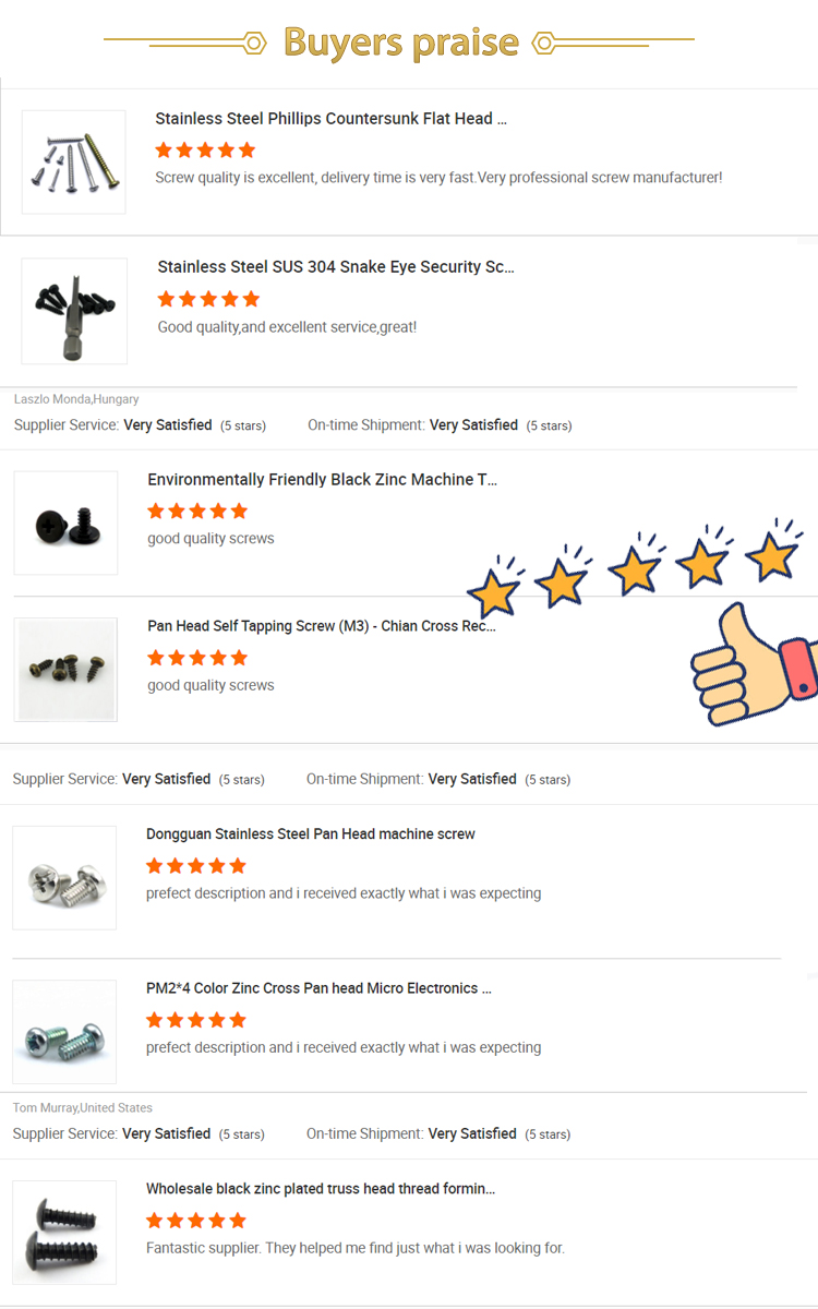 Sandwich Panel Self Drilling Roofing Screws Plain Finish Stainless Steel Tek Screws
