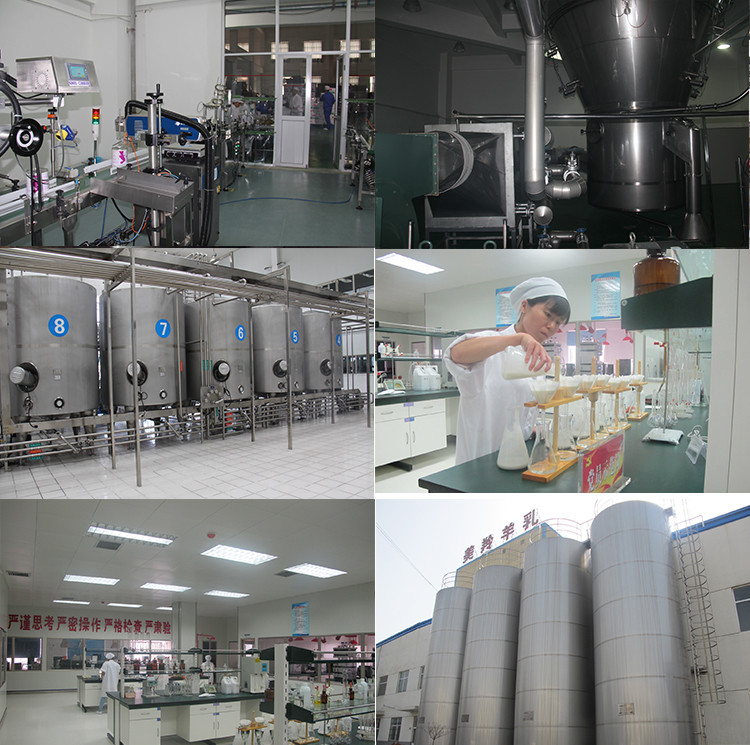 Dry Sterilized 42% Fat Raw Goat Milk Powder For Bakery Products