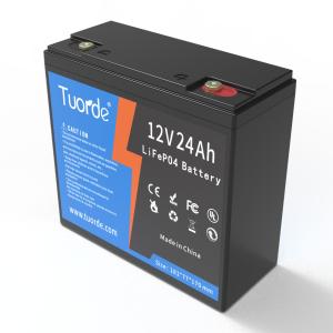 China 12V 24Ah Lead Acid Replacement Battery AGV Rechargeable 3000 Cycle OEM ODM wholesale