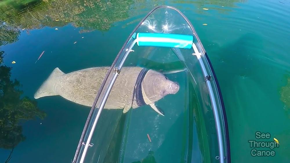 Durable Clear Plastic Kayak Fishing 1 Person Lake Canoe Jet With Pedals And Seat