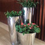 Beautify the space large outdoor tall planters elegant flower pot