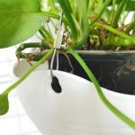 Flower Pot Toggle Hanger Wire Rope Stainless Steel Wire Cable Gripper End