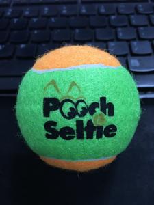 China dog toy ball tennis sports dog toy ball wholesale