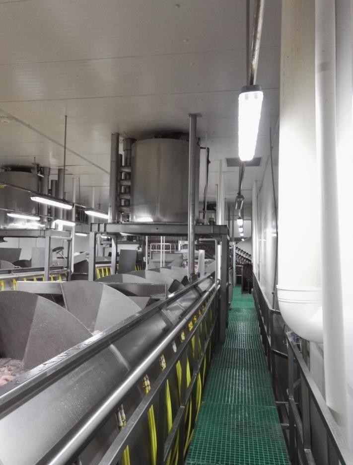 15 Ton One Day Stainless Steel Flake Ice Machine For Chicken Slaughtering Processing
