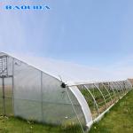 Galvanized Steel Frame Single Span PE Film Greenhouse For Flower Planting