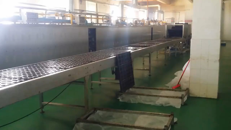 Automatic Bakery Equipments Gas Tunnel Oven For Cake Breads Burger Buns Pizza Production Line