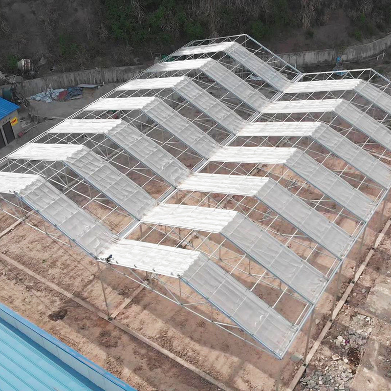 Single Layer Stable Structure Poly Tunnel Greenhouse for Agricultural Retractable Film Automated