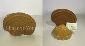 China reishi mushroom series: Reishi slices, Reishi Mushroom Extract polysaccharide 20% triterpenoids1% , Manufacture wholesale