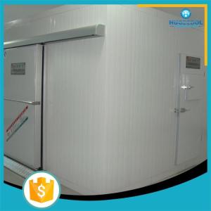 China Cold storage room for food blast freezed wholesale