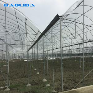 China High Tunnel Agricultural Farming Multi Span Greenhouse For Flowers Growing wholesale