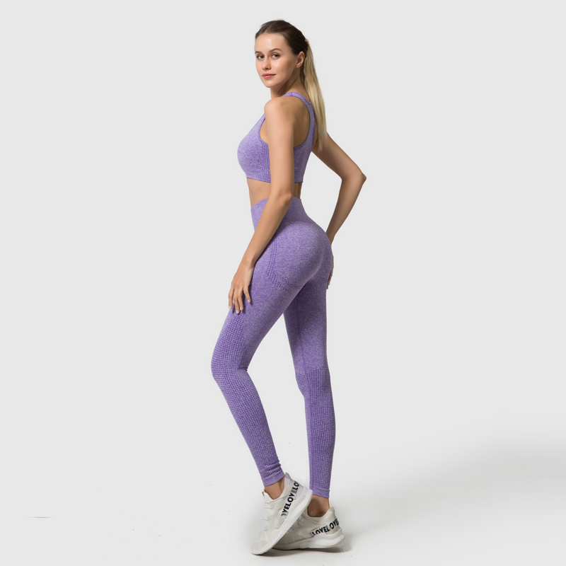 Yoga Breathable Seamless Sports Bra Leggings Stretch Fabric High Waisted Gym Leggings