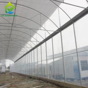 China Single Span Commercial Polytunnel Plastic Film Greenhouse Farming wholesale
