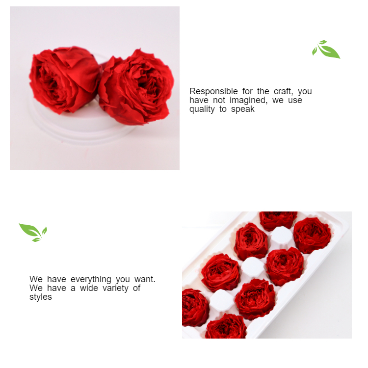 Long Lasting Preserved Austin Flower Rose Eternal For Wedding Decoration
