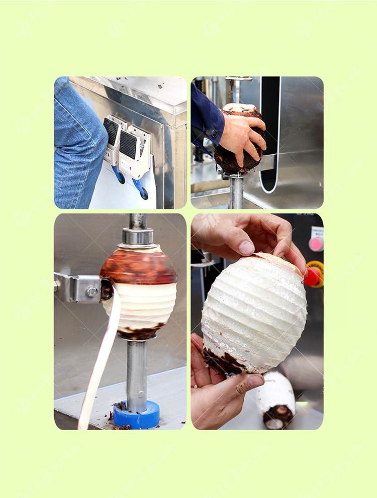 Multi Function Electric Zester Fresh Orange Lemon Peeling Machine Stainless Steel Hand Lemon Peeler Machine