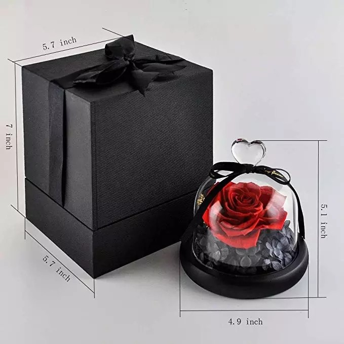 Wholesale Price beauty and the beast roses preserved roses in glass dome