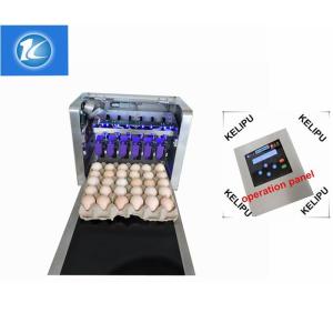 China Safety Egg Continuous Inkjet Printer , Digital Inkjet Printing Machine wholesale