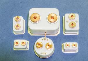 China Custom Metallized Alumina Ceramics Brazing With Metal Parts Ceramic Relay wholesale