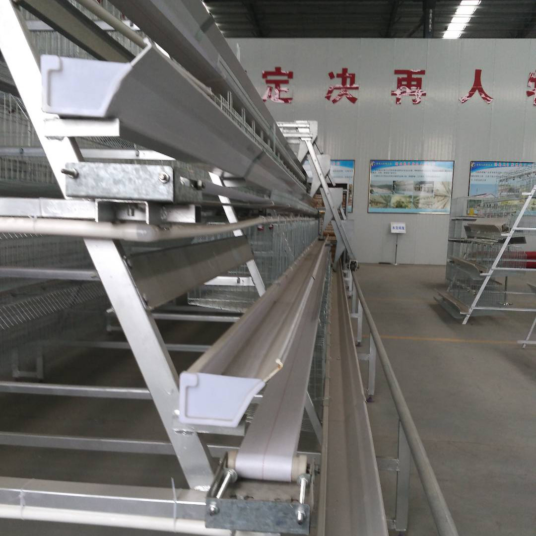 Adjusting Automatic Battery Cage System , Enriched Wire Steel Cage For Chicken