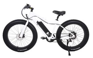 China 6061 Aluminum Electric Assist Mountain Bike 48V 750W High Power wholesale