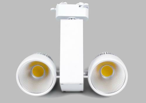 Professional Manufacturer Epistar chips 2*10W COB LED Tracklight