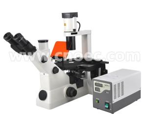 China Inverted Fluorescence Binocular Compound Microscopes 40X - 400X A16.0701 wholesale