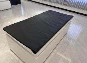 China Foldable Far Infrared Blankets 110V Weight Loss Infrared Sauna Blanket wholesale