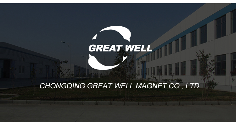 Permanent Injection Multi-Pole Ferrite Motor Rotor Magnet