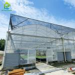 Multi-span Agricultural Plastic Film Vegetable Fruit Tunnel Greenhouse