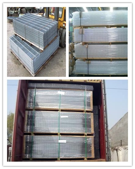 Welded Wire Mesh Panel Electro Galvanized Welded Mesh Fence 50 ft