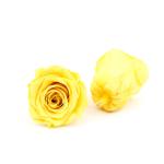 Immortal Diameter 5-6cm Preserved Rose Flower For Mothers Day