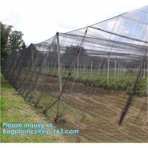Monofilament Knitted 100% virgin HDPE Material Transparent Anti hail Netting