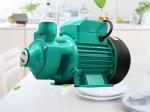 Best Price 1 Inch 220 Volt Qb60 0.5 Hp 0.75hp 1hp Domestic Garden Electric Motor