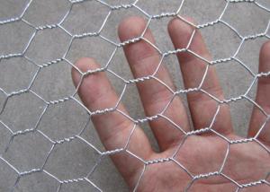 China Small Hole Bwg19 Chicken Mesh Fence Coop Galvanized Wire Rolls wholesale