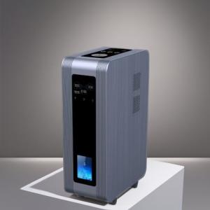 China Hydrogen Inhalation Machine Antioxidant Anti-Inflammatory Household 3000ml WEIZI wholesale