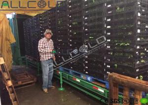 China Leybold Busch Pump 6 Pallets Vacuum Cooling Machine R404A Agriculture wholesale