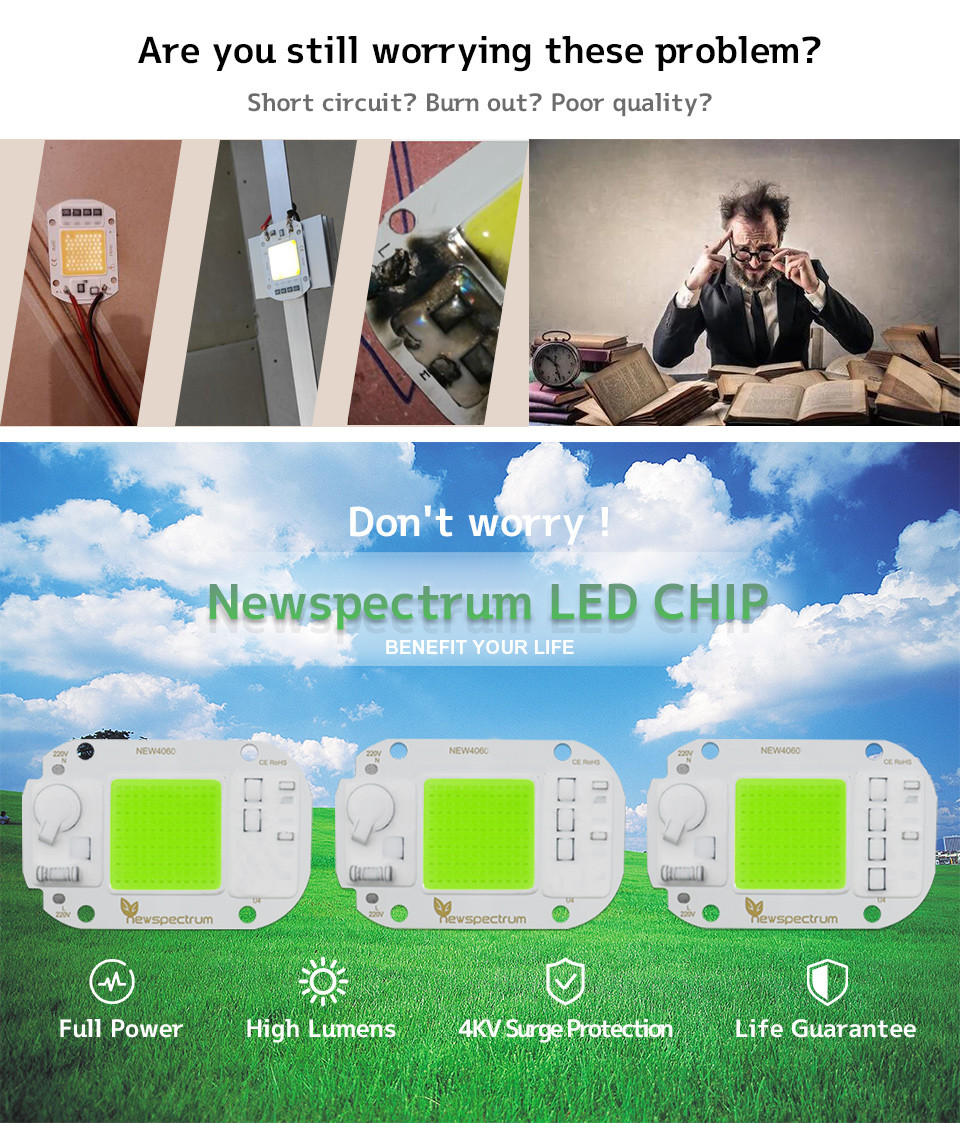 AC COB Flip 50W LED Chip Surge Protect For Landscape Lighting