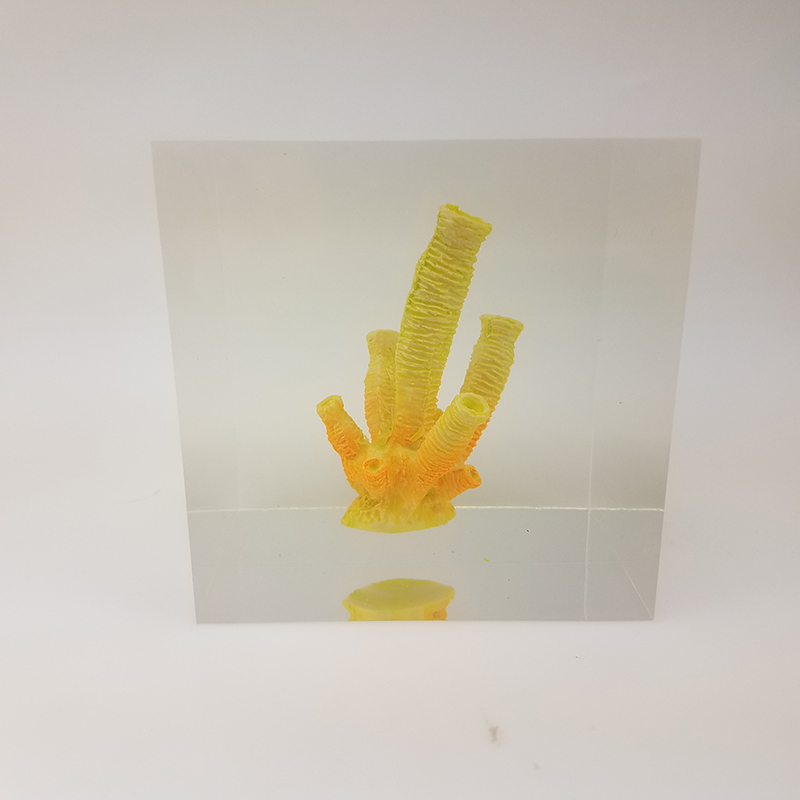 Transparent resin cube brick paperweight with Coral inside