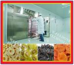 Compact Structure Energy Saving Hot Air Tray Dryer for Food, Pharmaceutical and