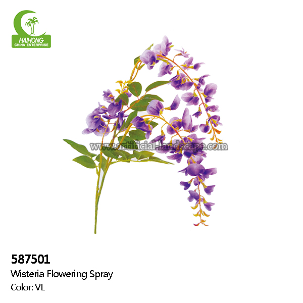 Wisteria Flowering Spray