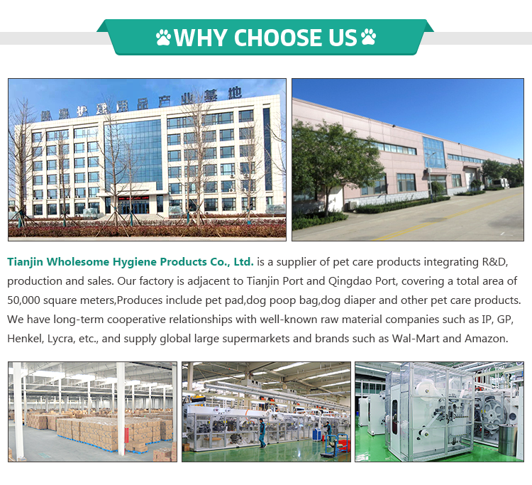 Private Label Custom Size Accepted Environmental Protection Ldpe Hdpe Dog Waste Bag
