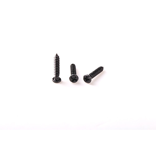Stainless Steel Polishing Coating Self-Tapping Precision Micro Screw for Widely Use