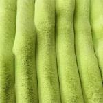 Grey Green Fluffy Fabric Material Fluffy Upholstery Fabric